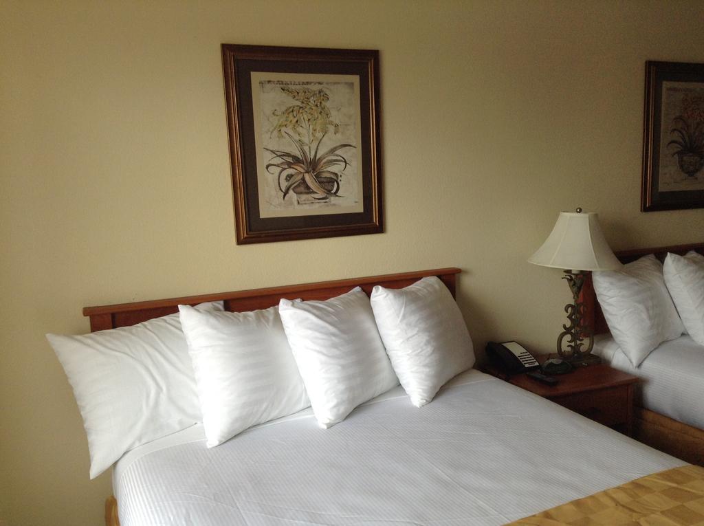 בואנה פארק Best Inn & Suites מראה חיצוני תמונה
